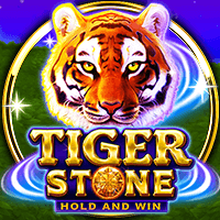 tiger stone